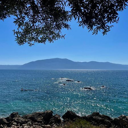 Tekada Hotel & Restaurant Vlorë エクステリア 写真