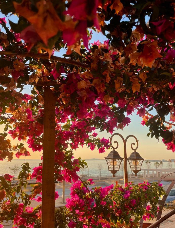 Tekada Hotel & Restaurant Vlorë エクステリア 写真