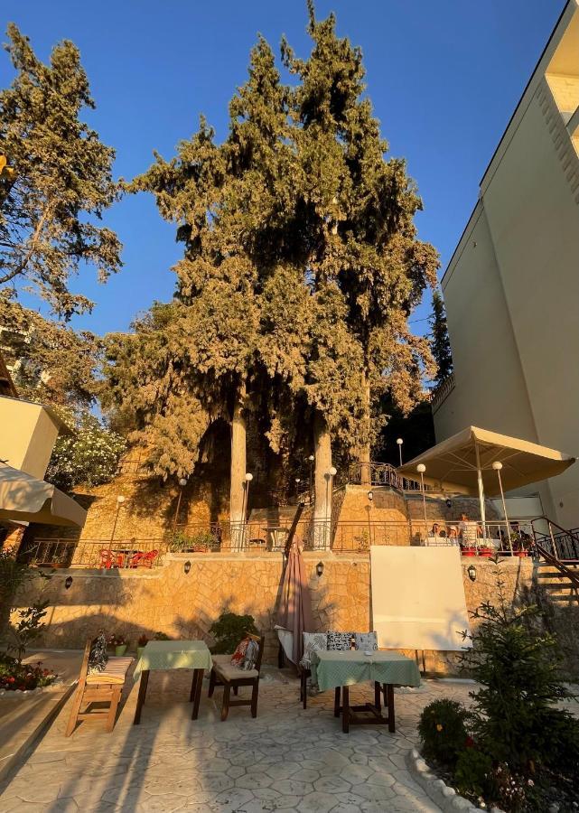 Tekada Hotel & Restaurant Vlorë エクステリア 写真